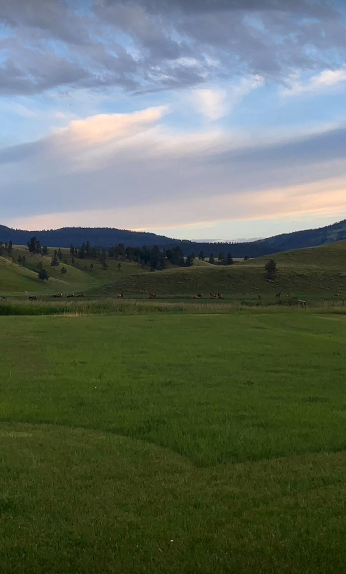 Basic Montana Travel Recommendations