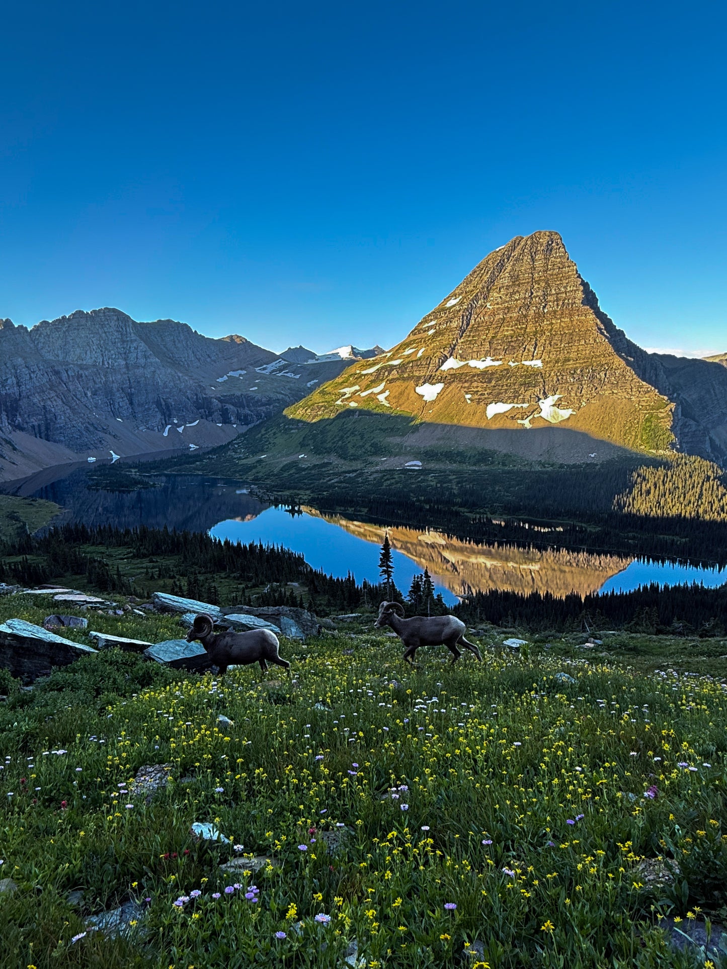 Glacier National Park 3 Day Itinerary & Guide