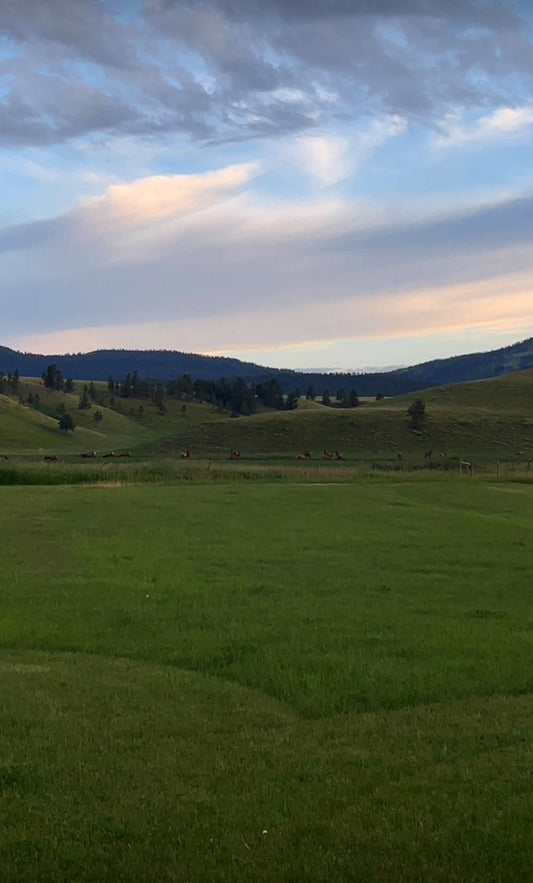 Basic Montana Travel Recommendations