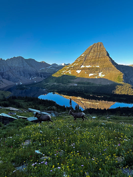 Glacier National Park 3 Day Itinerary & Guide
